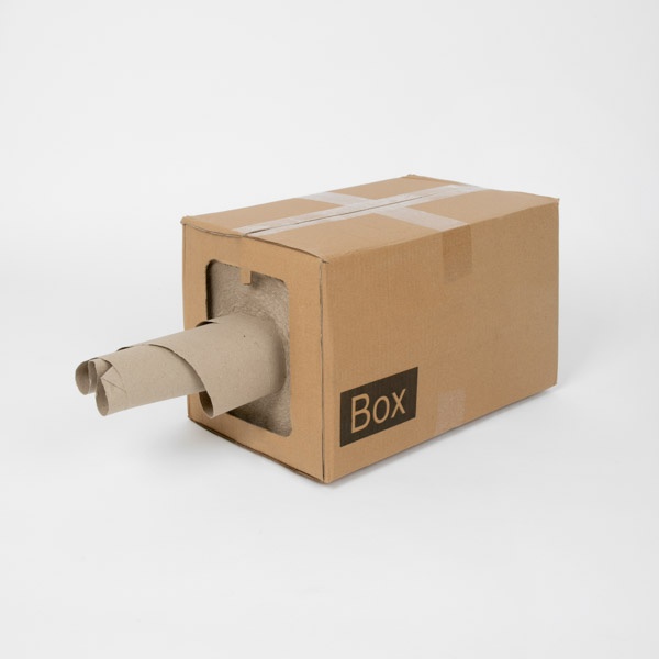 Packshot carton 