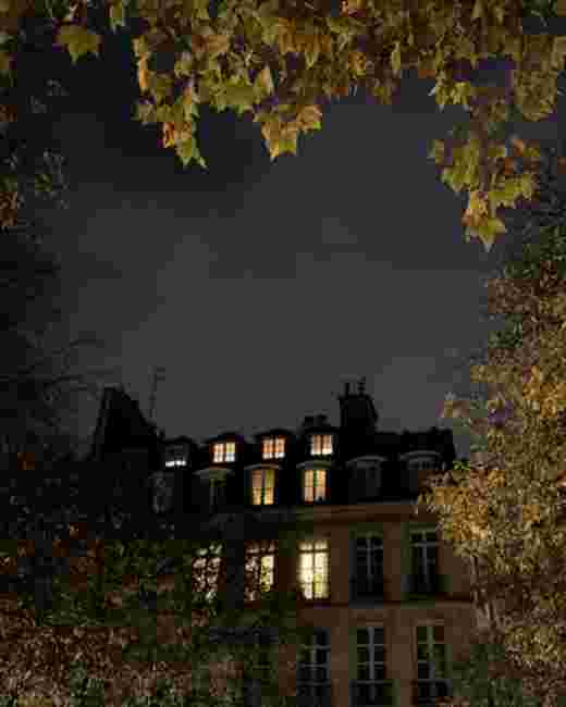 Immeubles parisiens illuminés la nuit, encadrés de feuillages d'automne