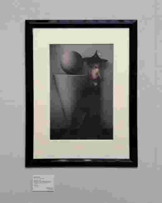 Sheila METZNER paris photo 2025